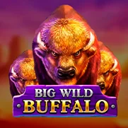 Slot Big wild buffalo